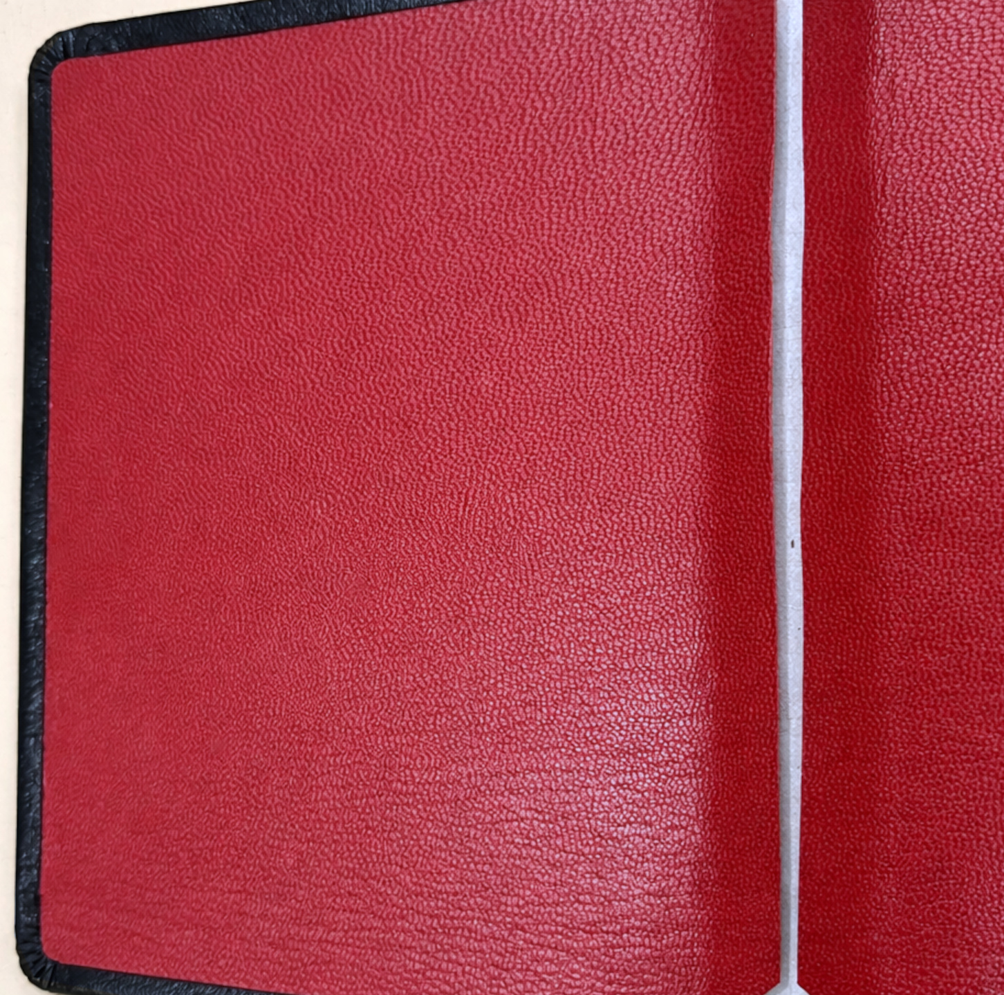 Liner leather example 1