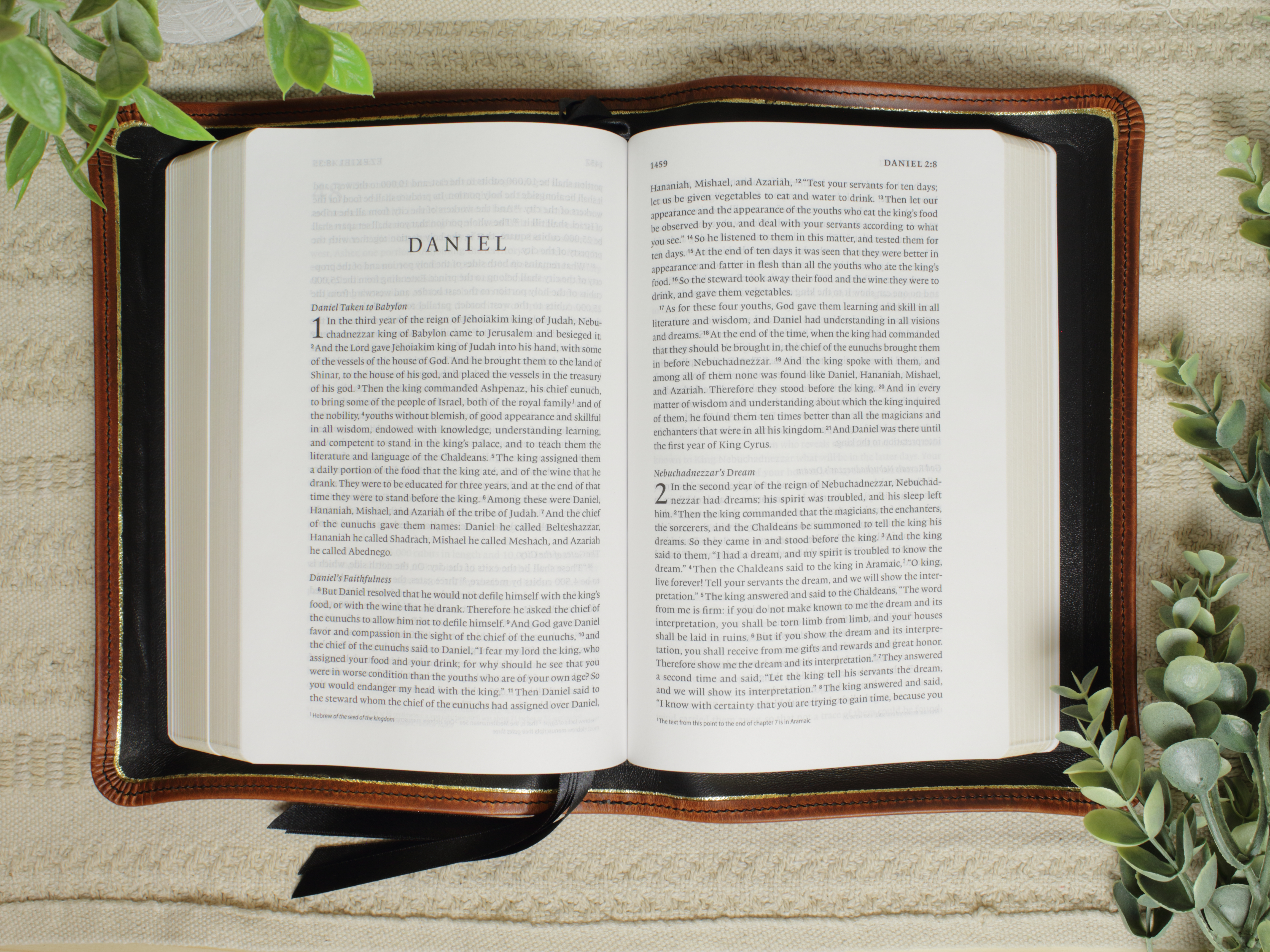Open Bible showing a gold liner gilt line framing the black leather liner